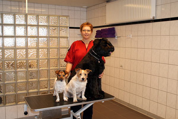 Hondentrimsalon Wilma van der Meijs